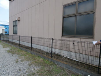 P6020143.JPG