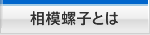 相模螺子とは